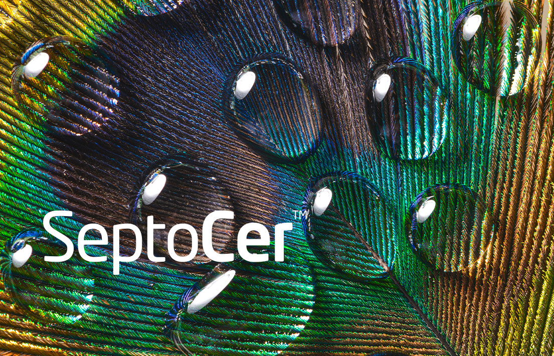 Wasserabweisende und beschichtete Coating-Produkte aus Biomaterialien | SeptoCer | BioCer